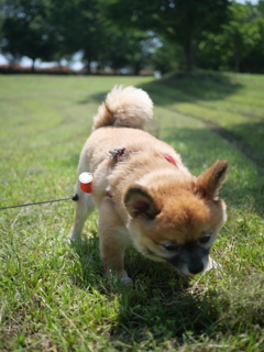 今日は暑かったね。