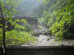 雨上がりの霧がいい感じ？