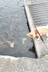 絶対に押さないでね！