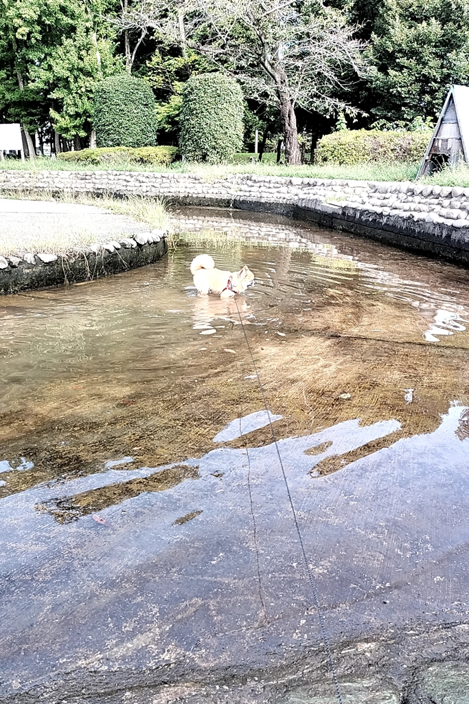 帰ってこい～