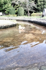 帰ってこい～