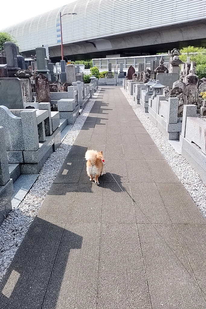 お墓参り