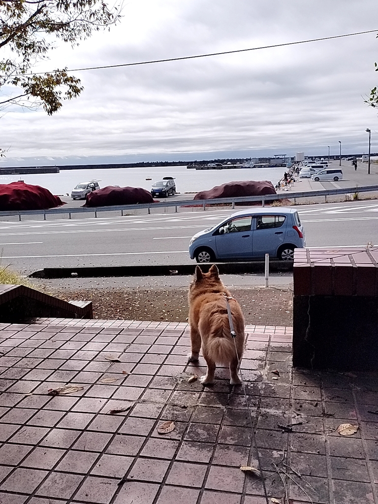 北茨城は寒かったね