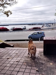 北茨城は寒かったね