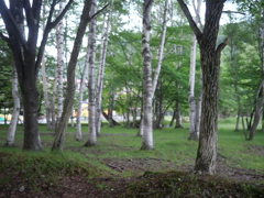 湯の湖は寒いくらいでした