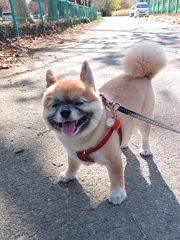 ドッグラン楽しそうだったね！