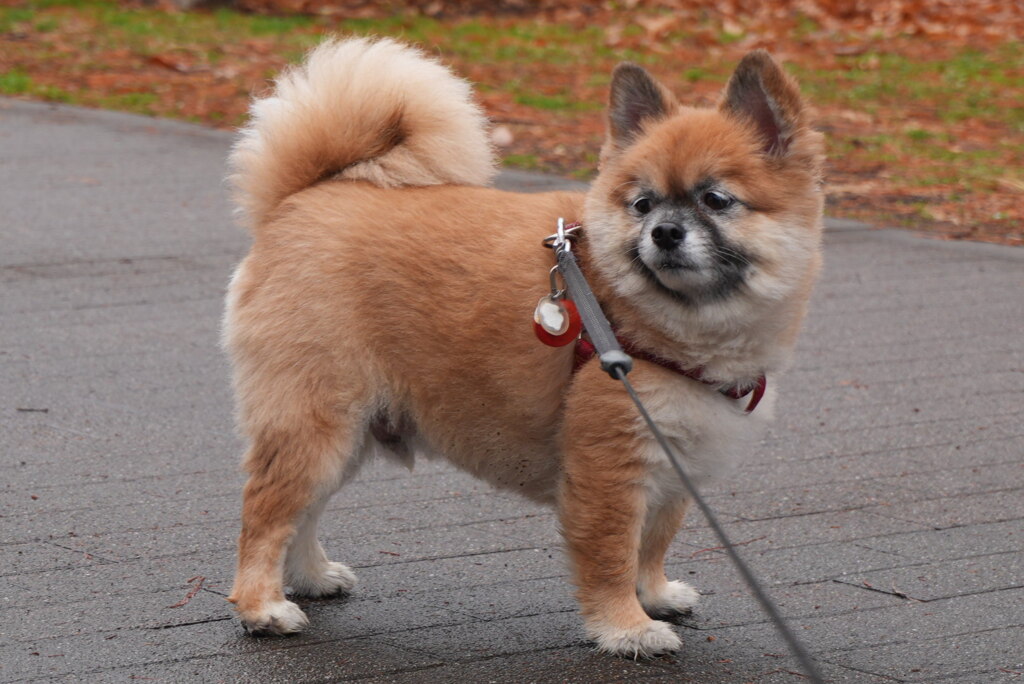 機嫌悪そうな顔だなぁ～WWW