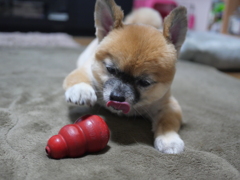 お腹すいたね～