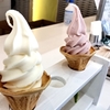 川場田園プラザのソフトクリーム