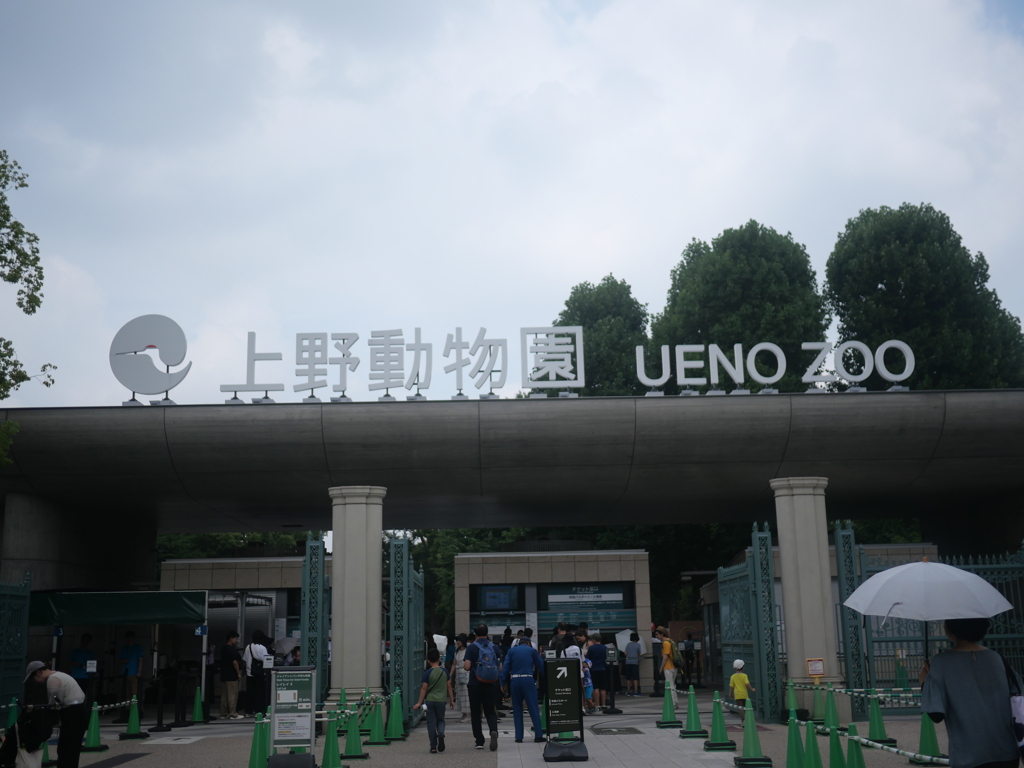 思い付きで、上野動物園