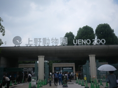 思い付きで、上野動物園