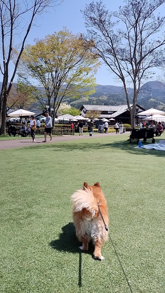 川場田園プラザ