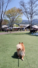 川場田園プラザ
