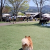 川場田園プラザ
