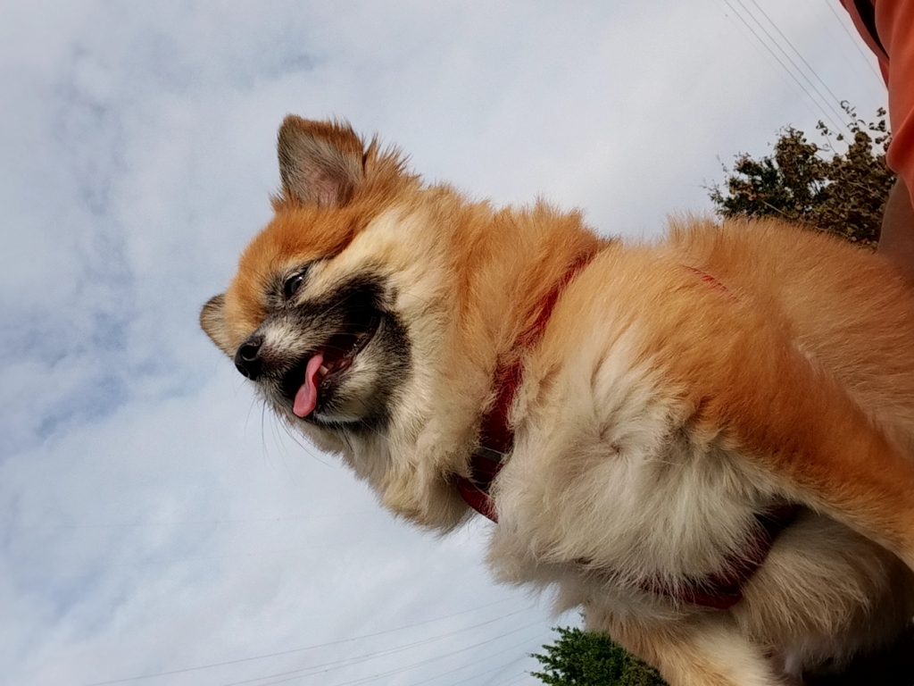 三連休は、釣れなかったけど楽しかったね～