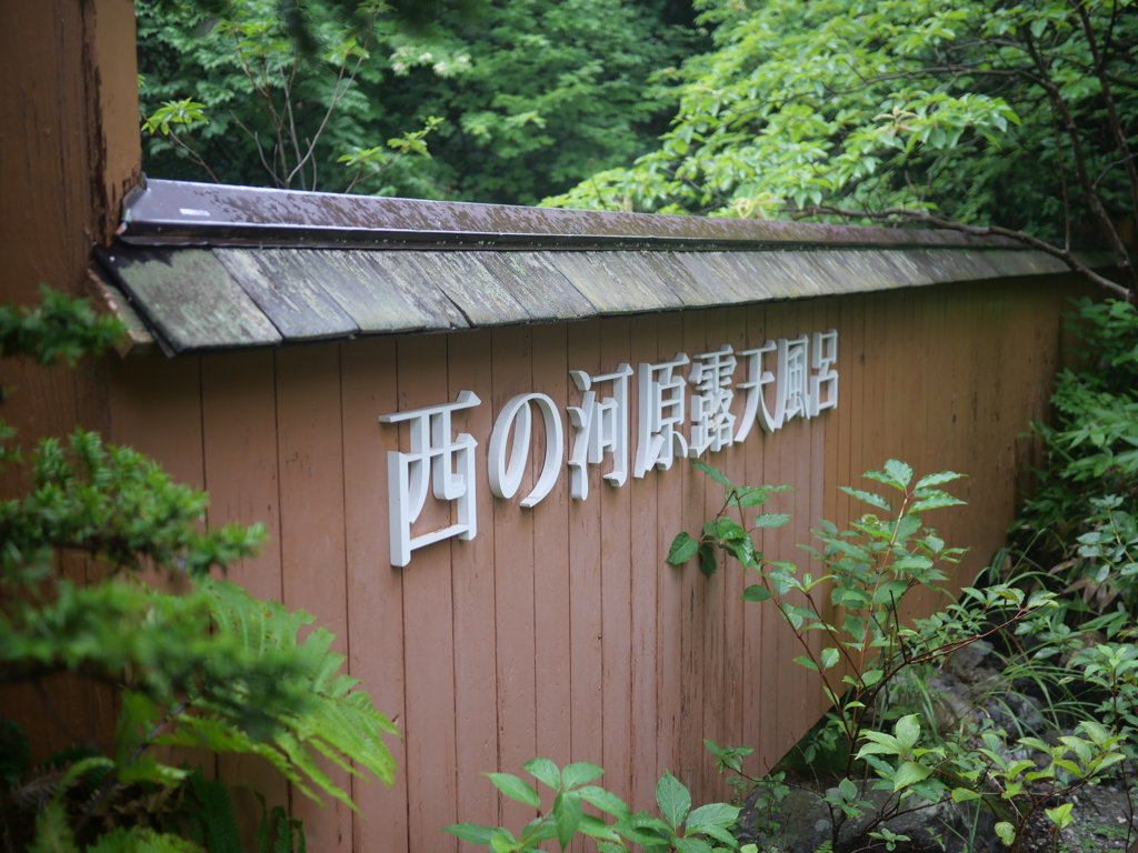 きれいになったね