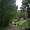 きれいな公園でした
