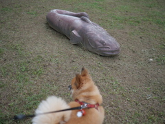 ナマズのオブジェ？