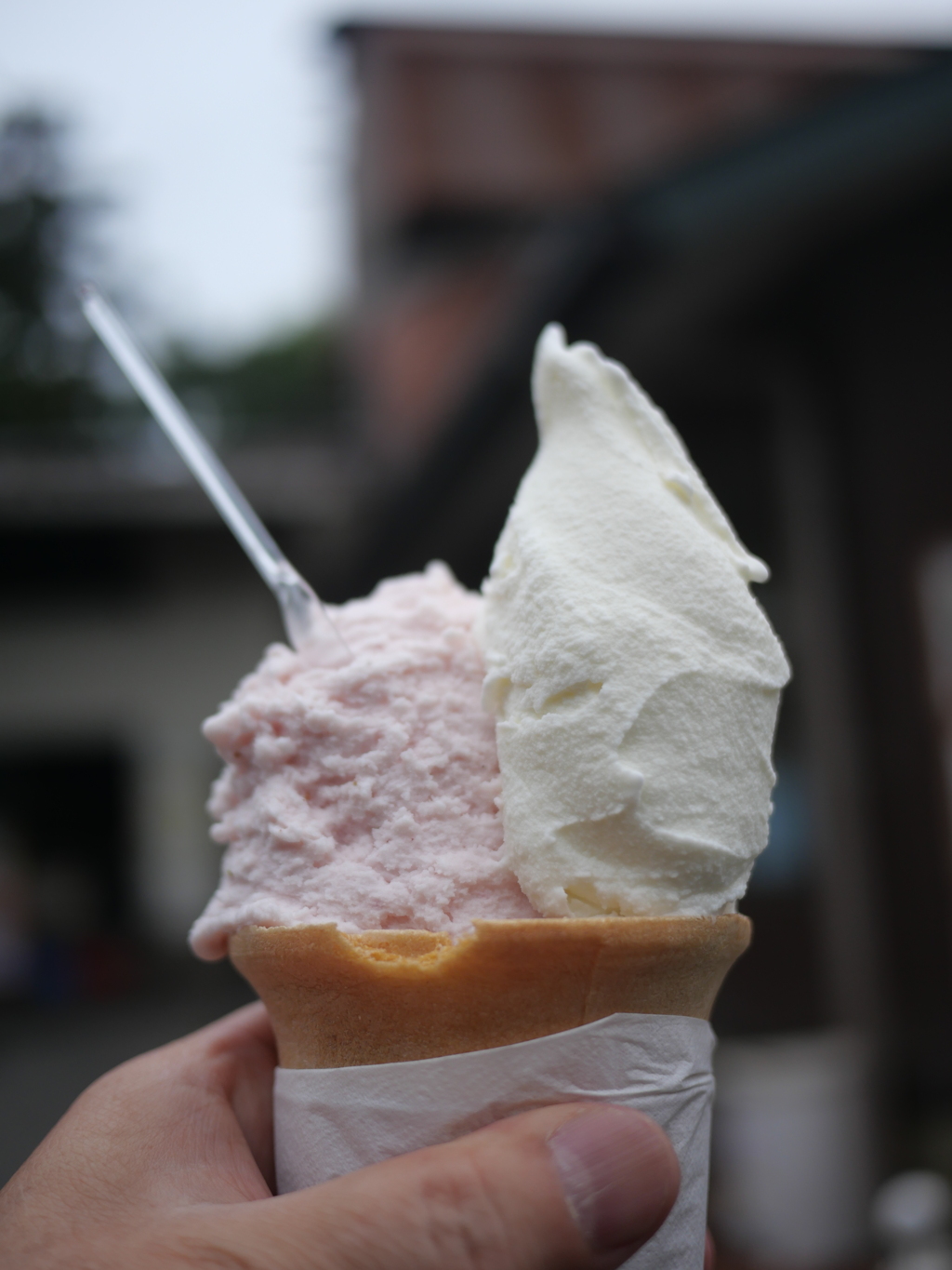 牧場名物のジェラート