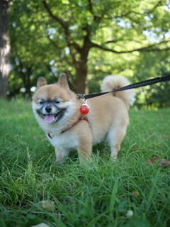 珍しく、こっち向いたWWW