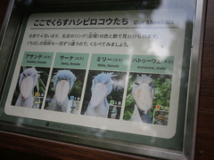 違いが全然分かんねぇ～
