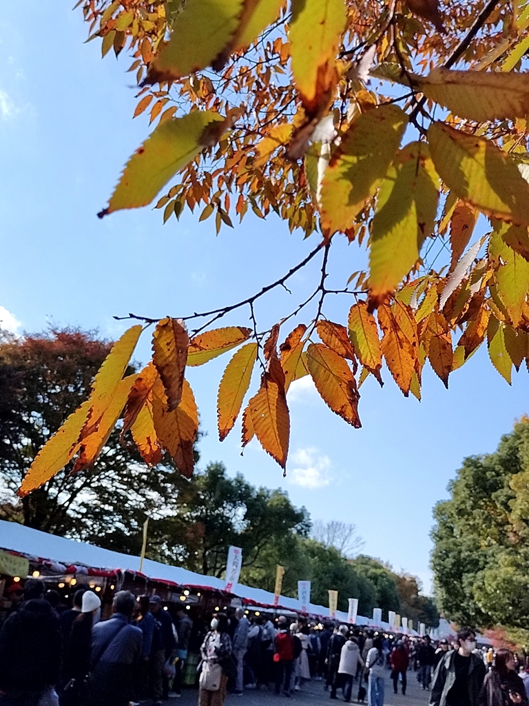 陶器市でした。