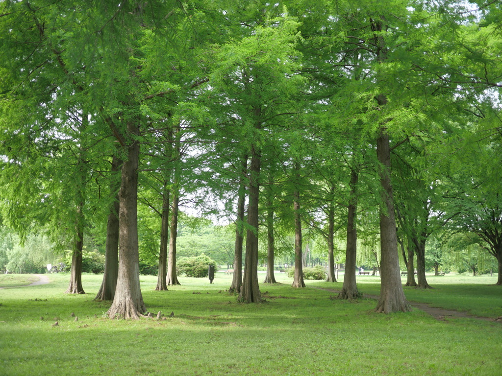 舎人公園