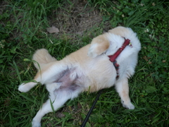 ピーンと延びてね~