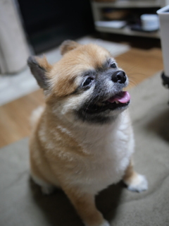 僕にも一口ください。