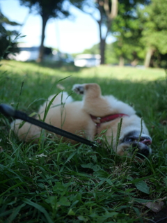 イナバウワーばっかりWWW