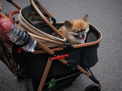 新車だぜ、どーよ！