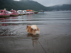 お約束の榛名湖