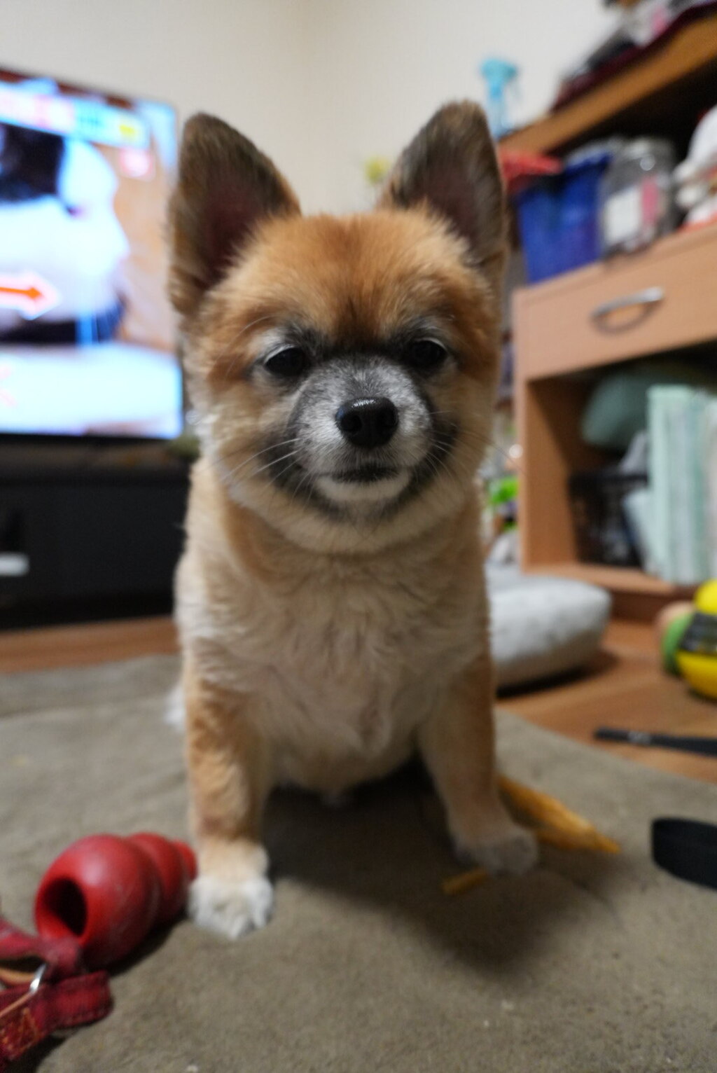 なんか食べたいのかな？