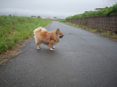 立ち止まる・・・。