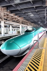 ウマヅラ過ぎますな！