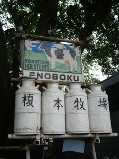 榎本牧場でした。