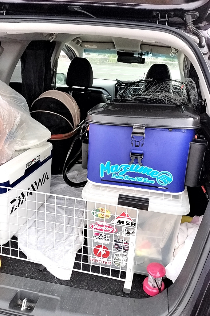 涼しくなったから車で待てるね。