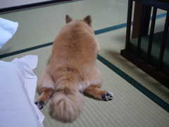 部屋でリラックス