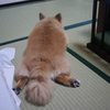 部屋でリラックス
