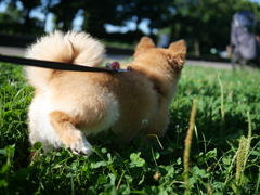 片脚上げてるね