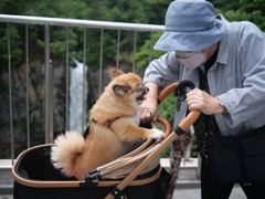 オカンとぽん太と時々、華厳の滝