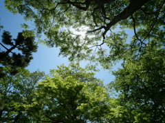 いい天気