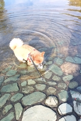 水遊びできて上機嫌