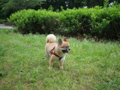 数少ない正面からの写真WWW
