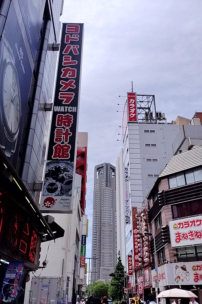 ヨドバシから、マップカメラへの道、都庁がでーーん！
