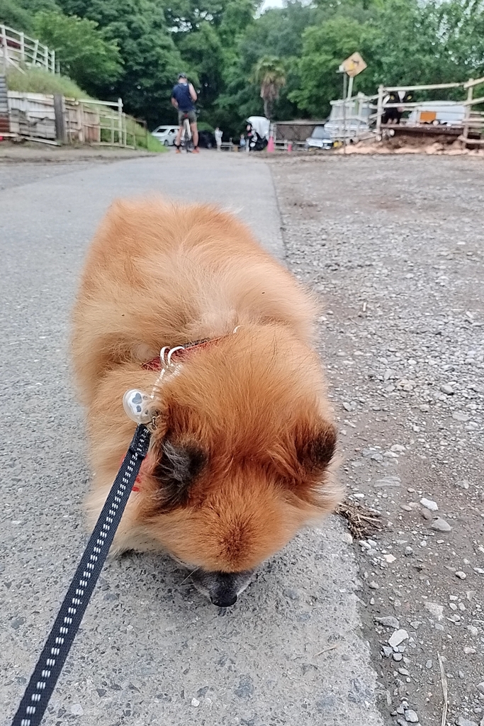 疲れちゃったかな？