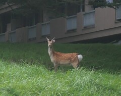 ぽんちゃんには、ちょっとでかいかな？