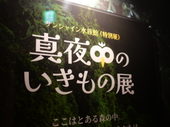 ちょっとイメージと違ってたかな？