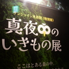 ちょっとイメージと違ってたかな？