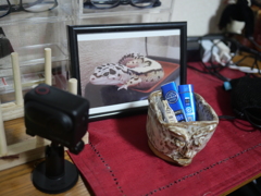かなり前に水上で作った陶器！顔ですｗｗｗ